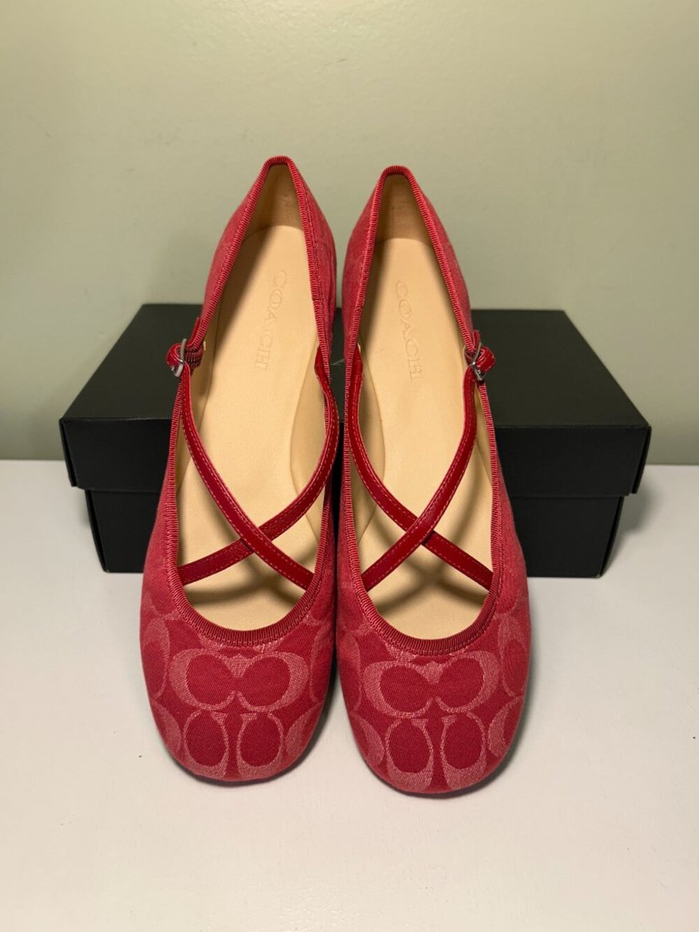 Coach Women's Phoebe Ballet Flats In Signature Denim